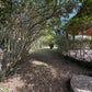 VILLA USO EVENTI